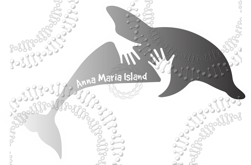 Anna Maria Island, FL - Dolphin Hug Black Decal