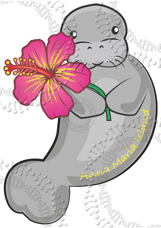 Anna Maria Island, FL - Manatee with Pink Flower Decal