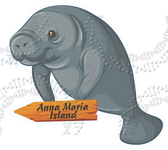 Anna Maria Island, FL - Manatee with Sign Decal