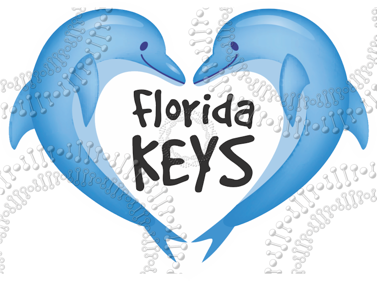 Florida Keys - Dolphin Heart Decal