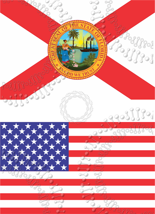 Florida State Flag and USA Flag Decal