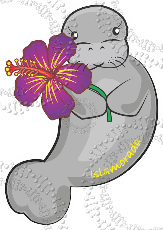 Islamorada, FL - Manatee with Purple Flower Decal