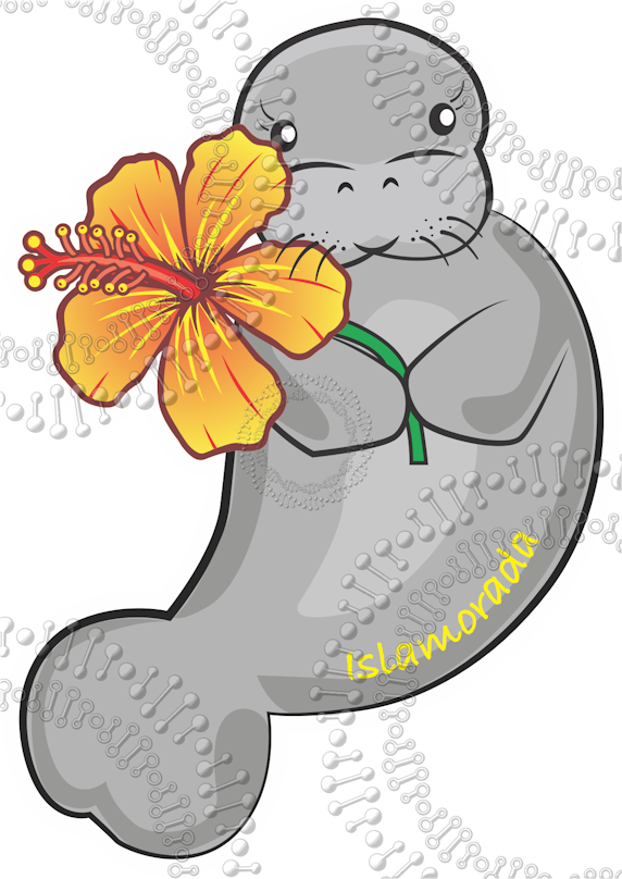 Islamorada, FL - Manatee with Yellow Flower Decal