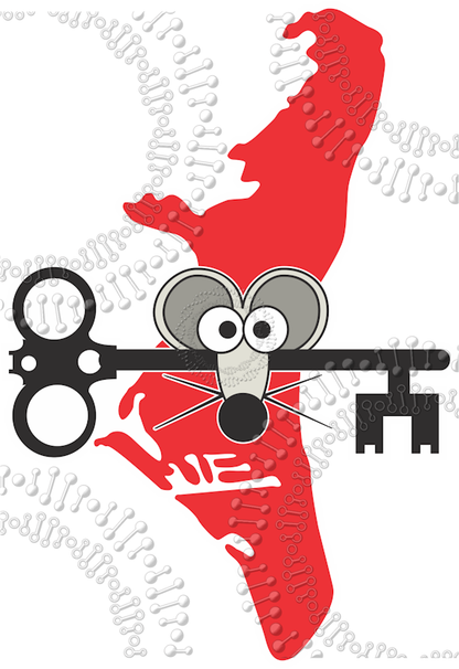 Key Biscayne, FL - Key Rat Decal