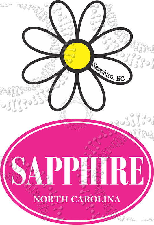 Sapphire, NC - White Daisy and Pink Oval Decal