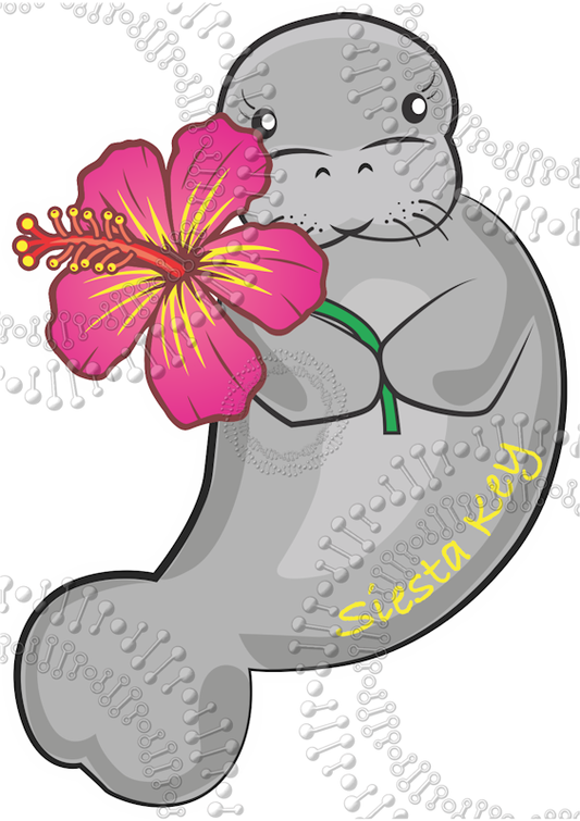 Siesta Key, FL - Manatee with Pink Flower Decal