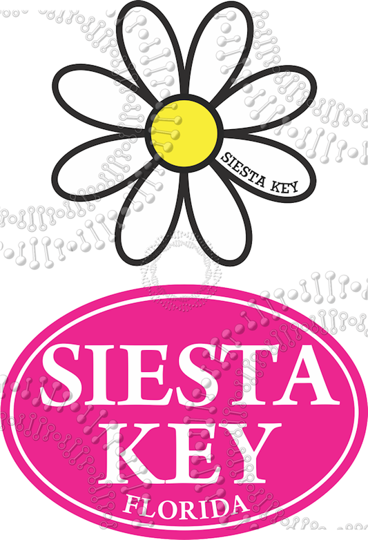 Siesta Key, FL - White Daisy with Pink Oval Decal