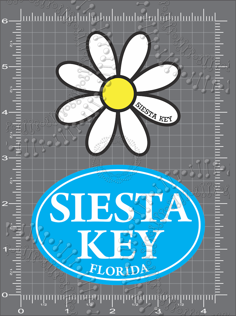 Siesta Key, FL - White Daisy with Cyan Oval Decal