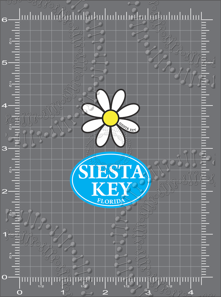 Siesta Key, FL - White Daisy with Cyan Oval Decal