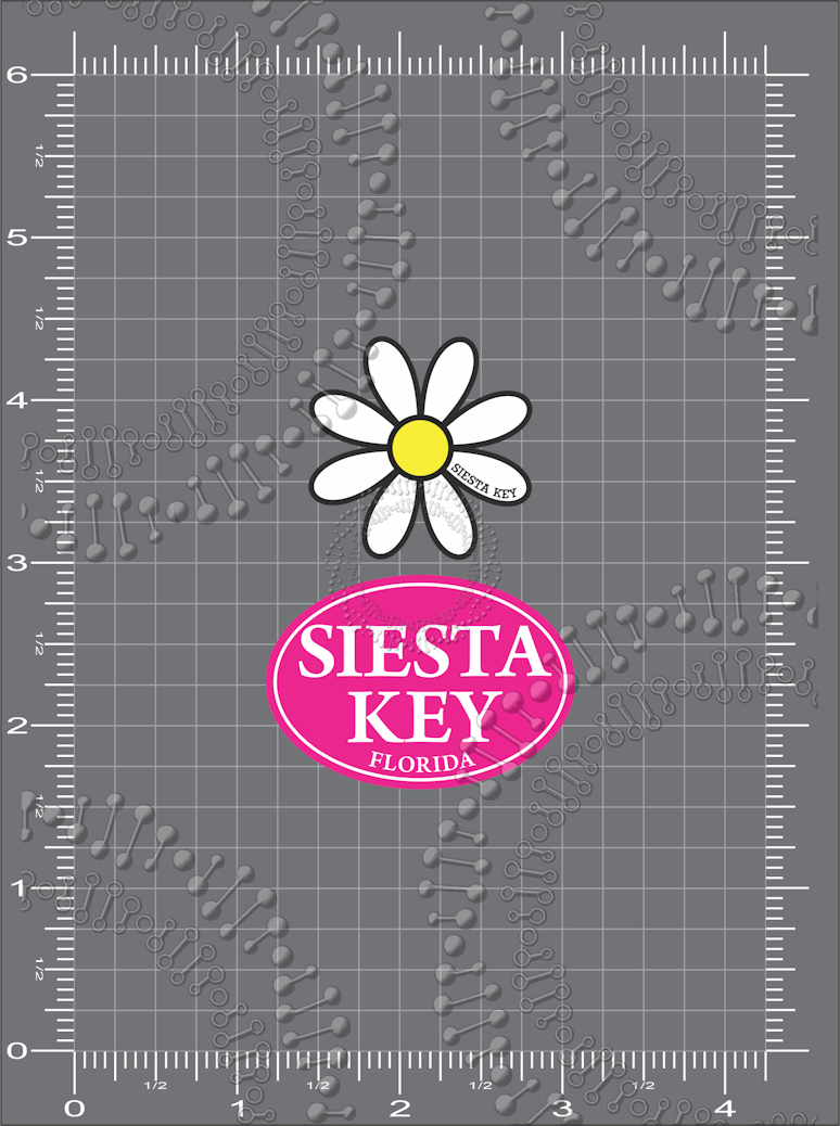 Siesta Key, FL - White Daisy with Pink Oval Decal