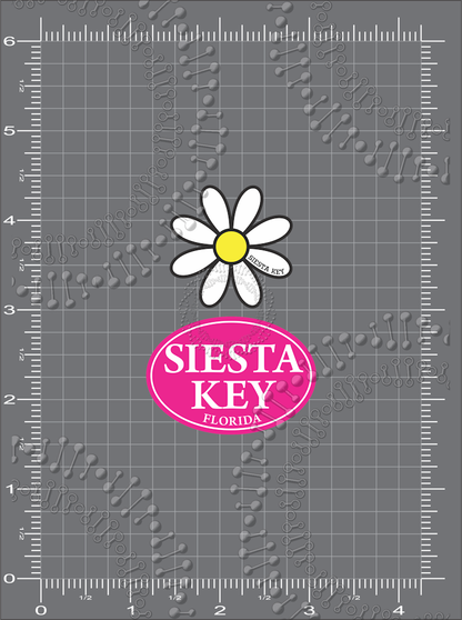 Siesta Key, FL - White Daisy with Pink Oval Decal