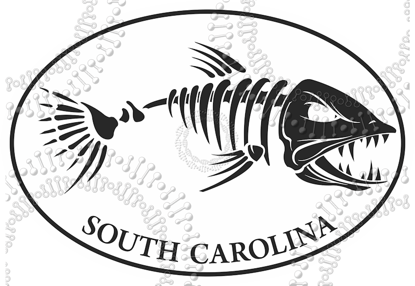 South Carolina - White Fishbonz Decal